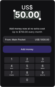 safeTcode App Interface